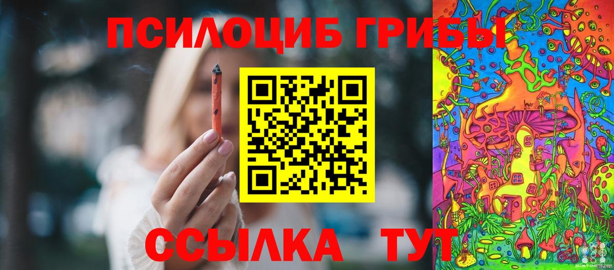 Псилоцибиновые грибы ЛСД  Галлюциногенные грибы MAGIC MUSHROOMS  Рассказово  Вход с VPN 